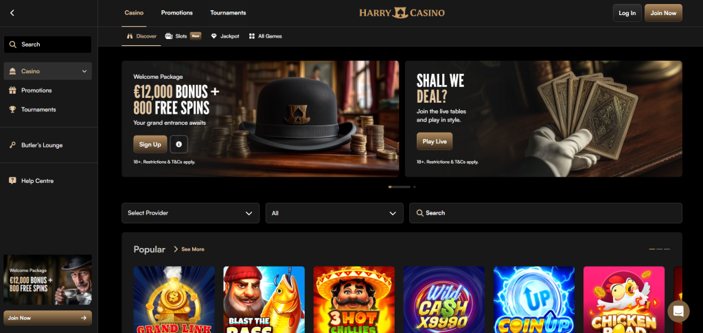 homepage van nederlandse online casino harry casino